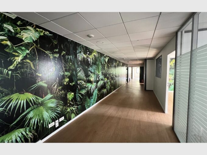 Bureaux 260 m2  dans bel immeuble Boulogne-Bill Nord