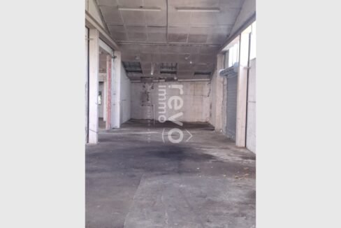 cedp-2733987-2