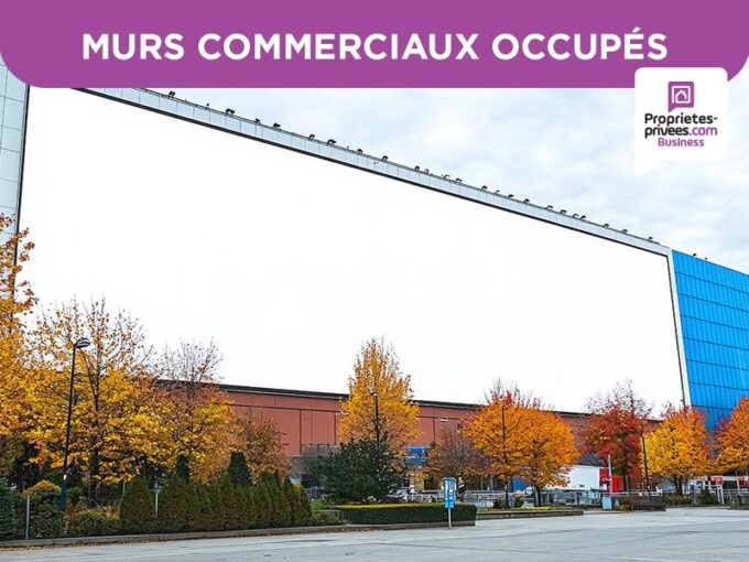 CENTRE VILLE BRASSAC – IMMEUBLE MIXTE APPARTEMENT T6  + FDC de BOULANGERIE