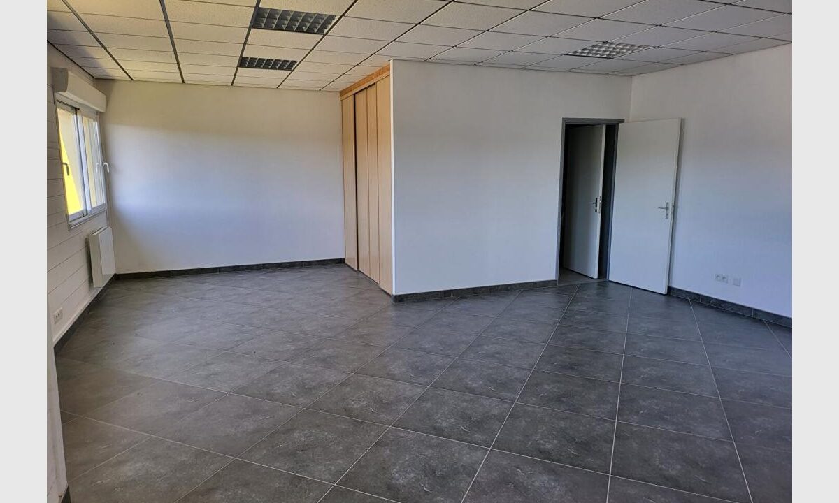 cedp-2735592-1