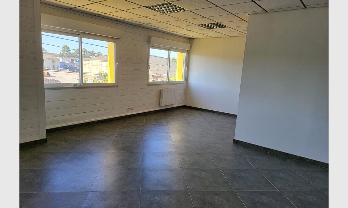 cedp-2735592-3