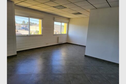 cedp-2735592-3