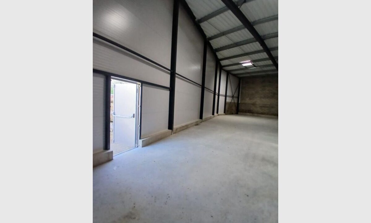cedp-2735681-7