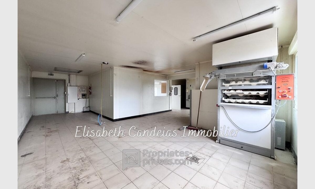 cedp-2736270-5
