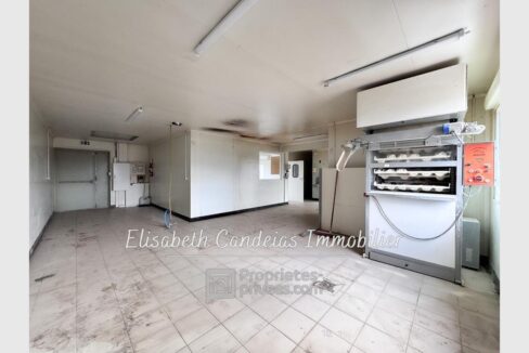 cedp-2736270-5