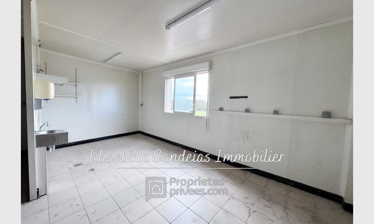 cedp-2736270-6