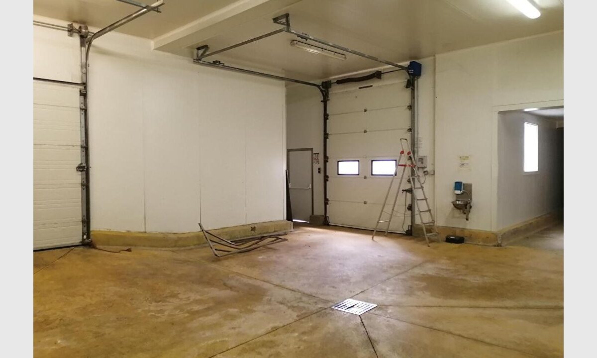 cedp-2736601-3