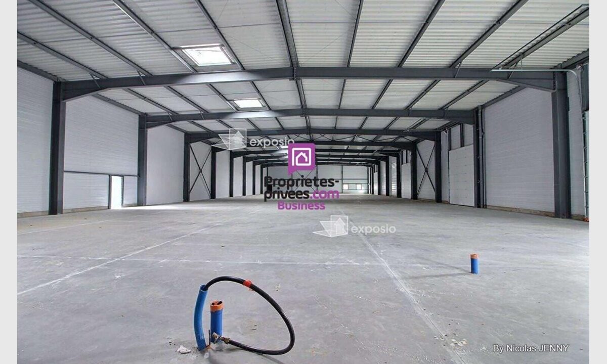 cedp-2736644-6