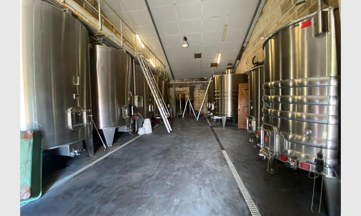 cedp-2736737-3