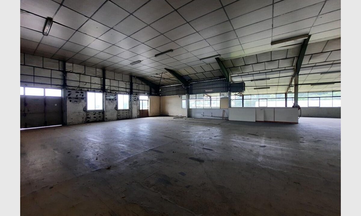 cedp-2736955-2