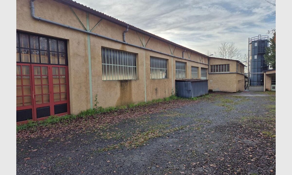 cedp-2736957-4