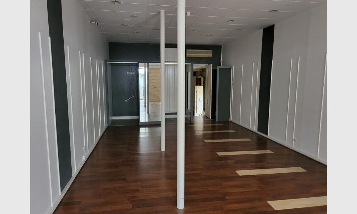 cedp-2737133-3