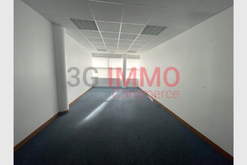 cedp-2748082-2