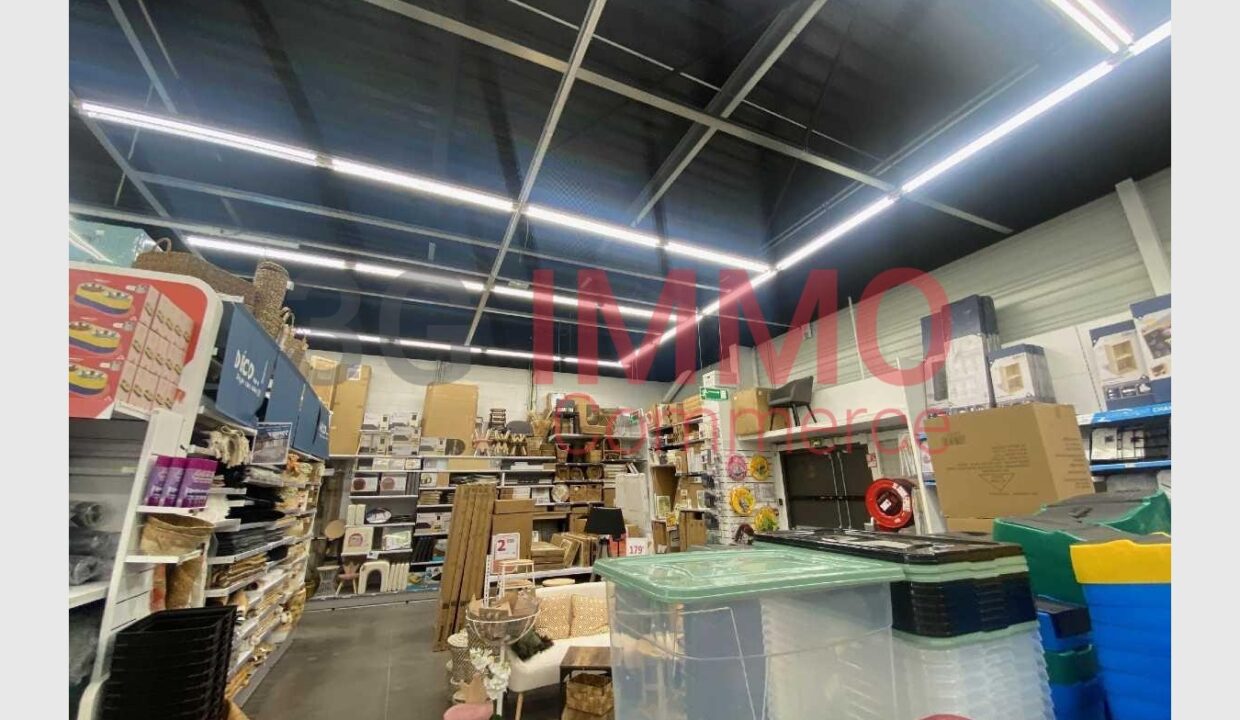 cedp-2749119-4
