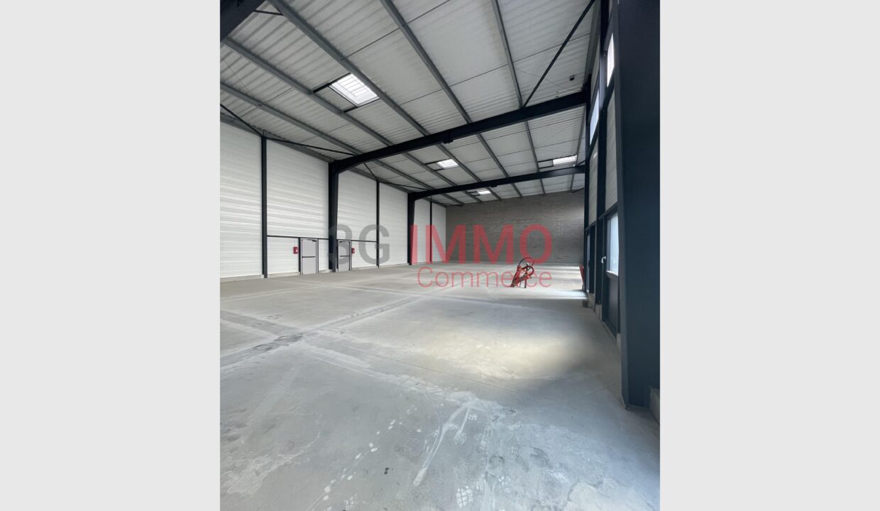cedp-2750406-2