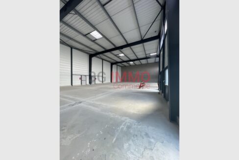 cedp-2750406-2
