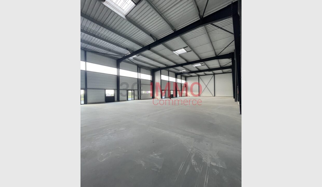 cedp-2750406-3