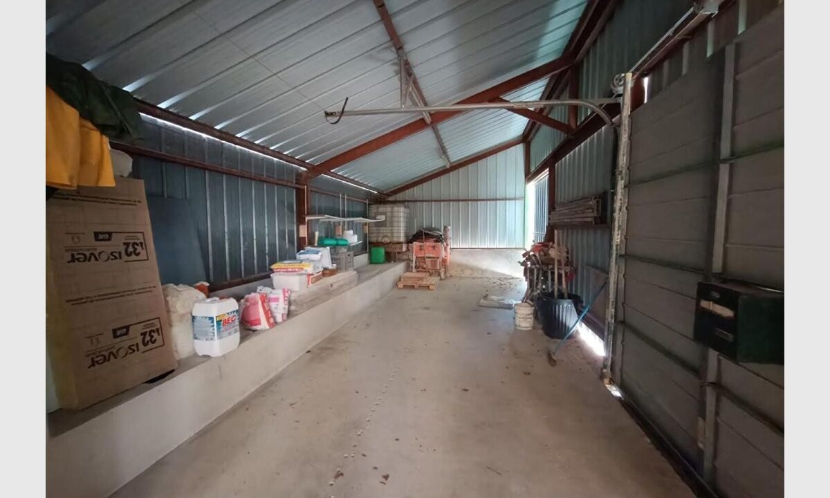 cedp-2736299-6