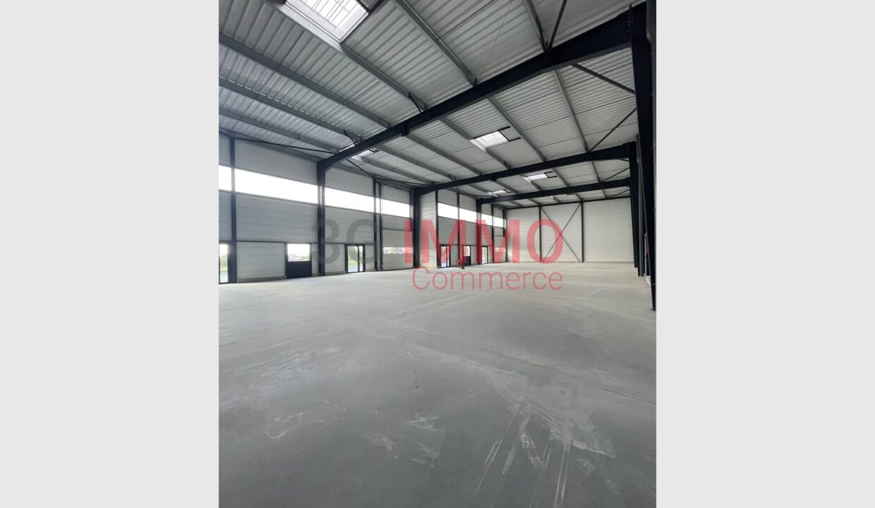cedp-2752265-2