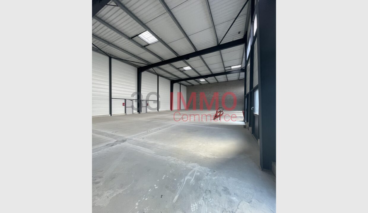 cedp-2752265-3