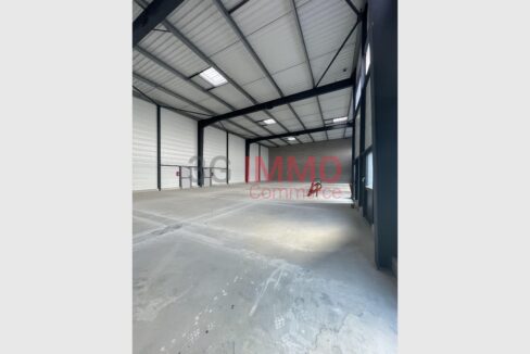 cedp-2752265-3