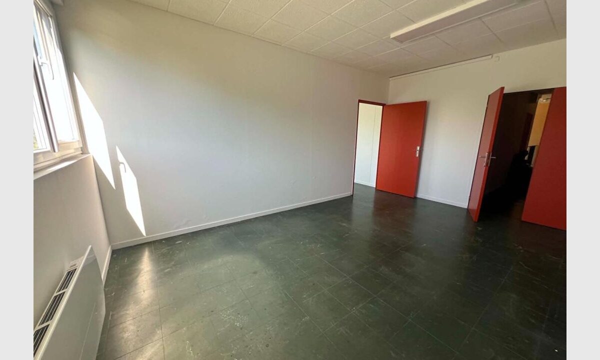 cedp-2752511-4
