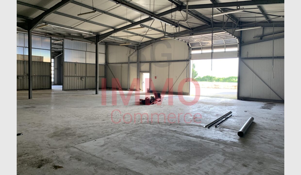 cedp-2756368-3