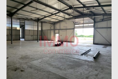 cedp-2756368-3