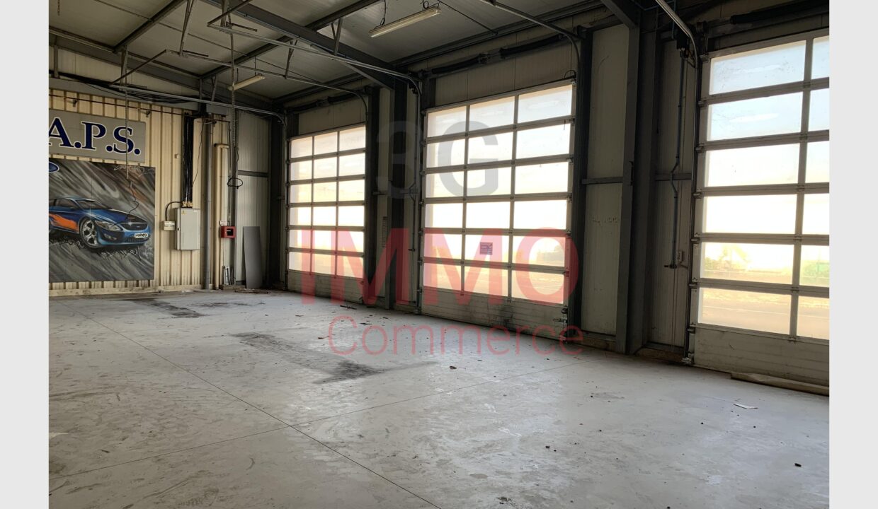 cedp-2756368-4