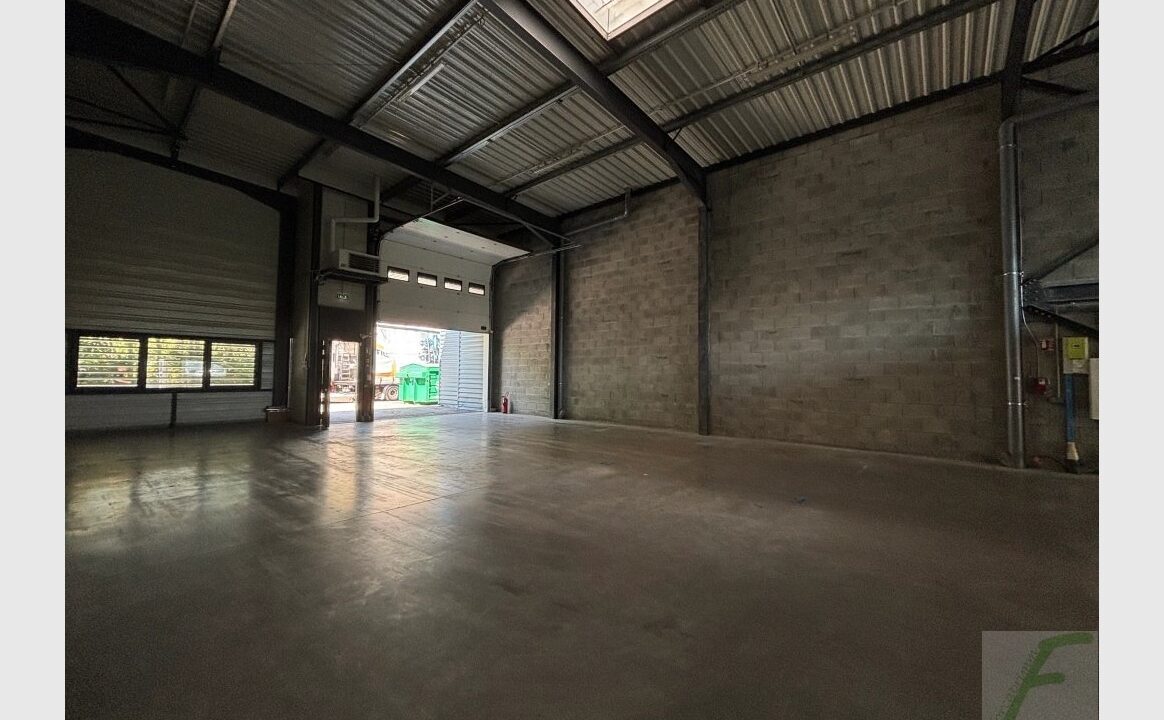 cedp-2755246-6