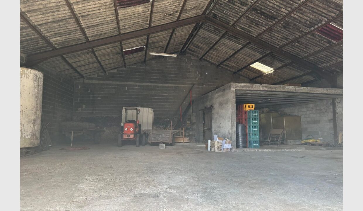 cedp-2758838-3