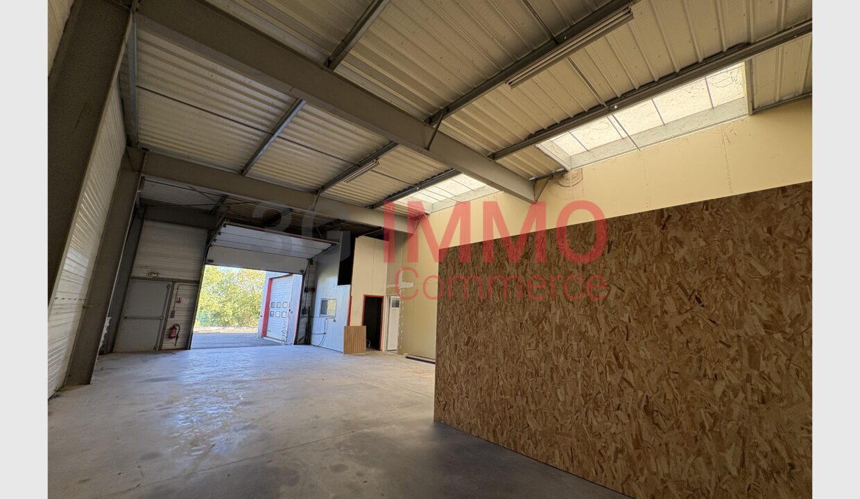 cedp-2759072-6