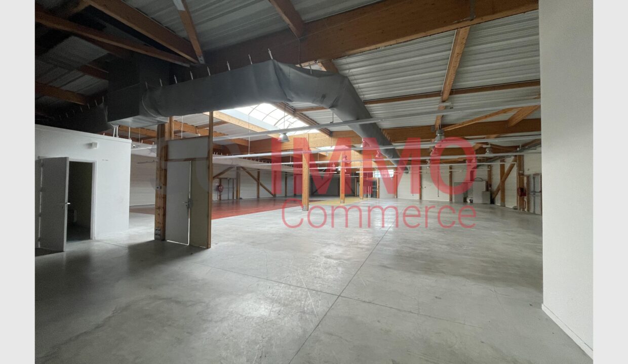 cedp-2759182-3