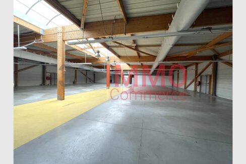cedp-2759183-3