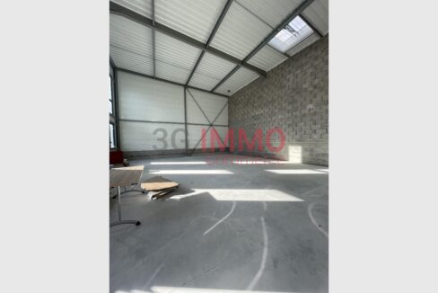 cedp-2760553-3