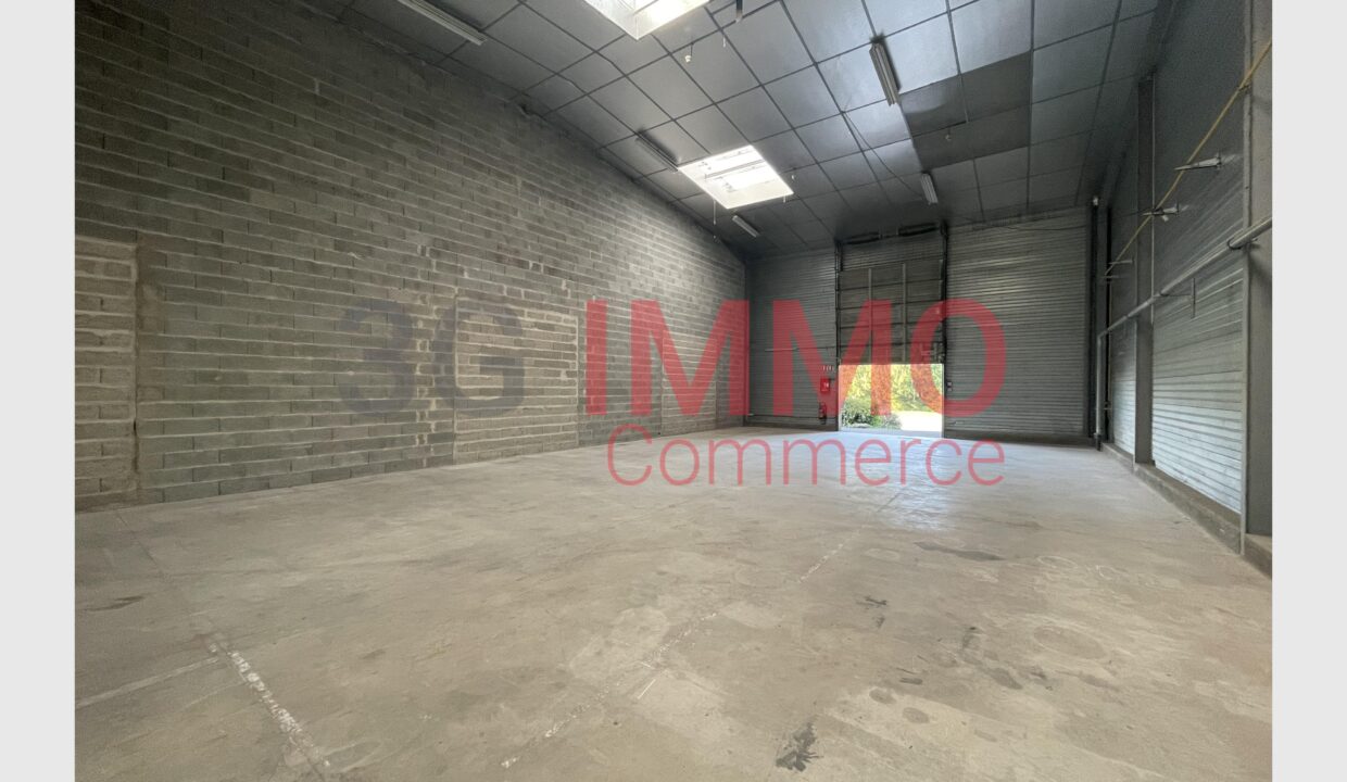 cedp-2760554-3