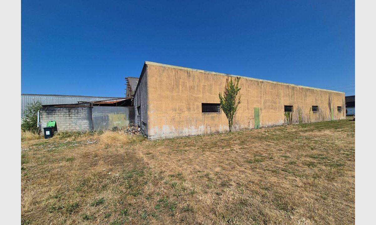 cedp-2761485-4