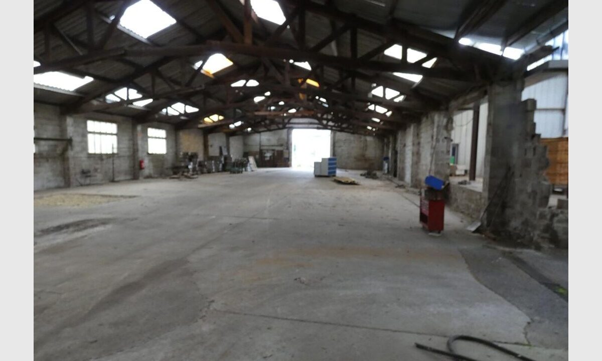 cedp-2762455-5