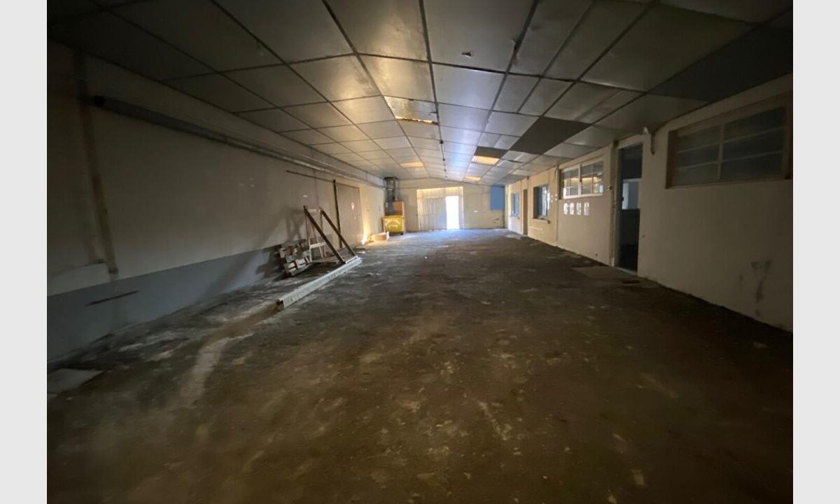 cedp-2765591-3