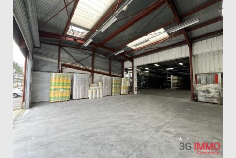 cedp-2767436-3