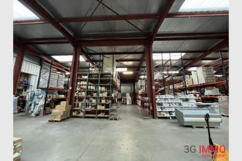 cedp-2767436-6