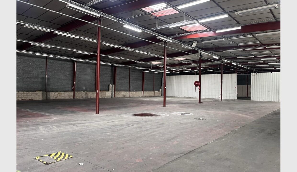 cedp-2767438-2