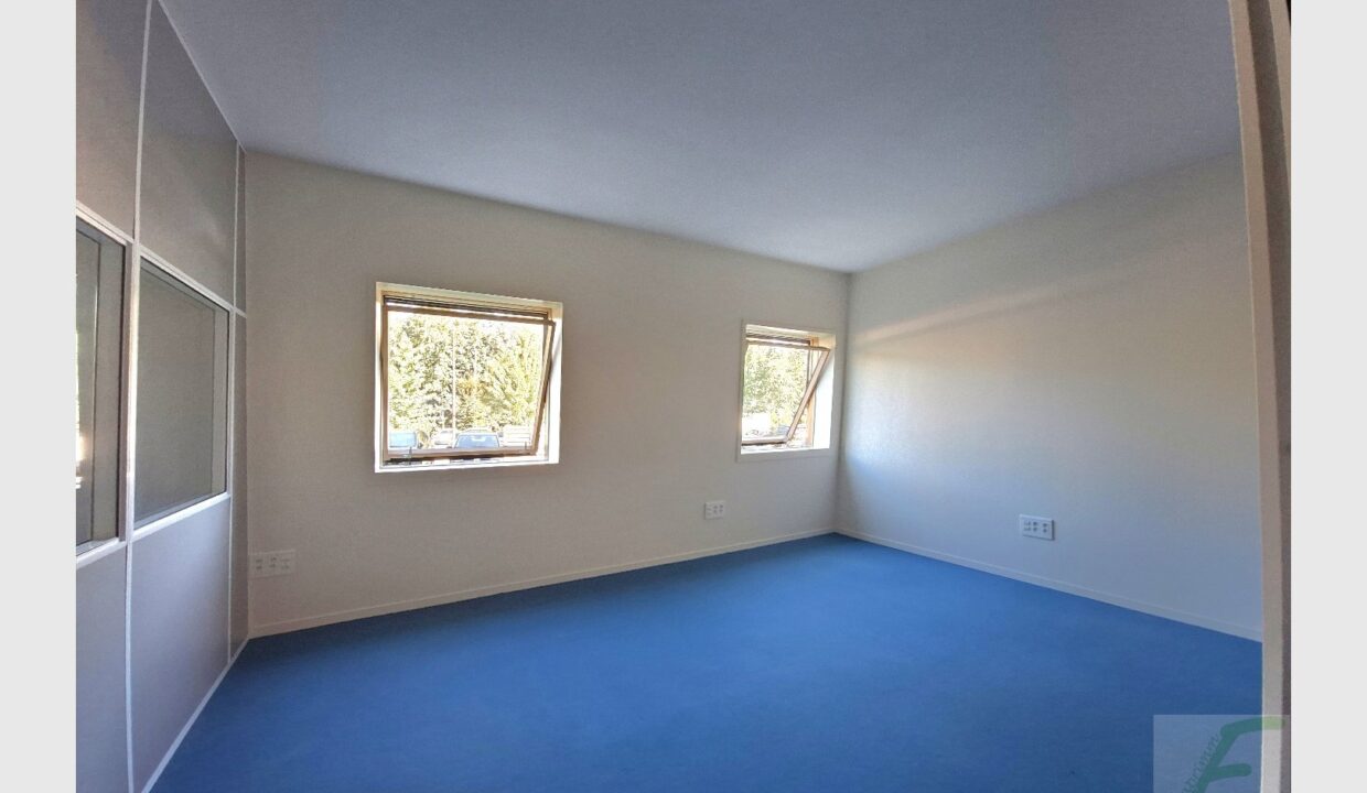 cedp-2767577-1