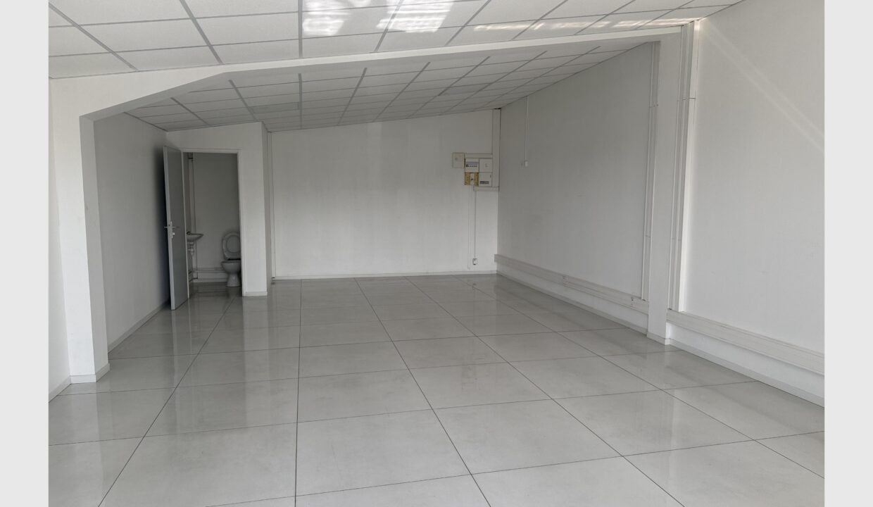 cedp-2768864-1