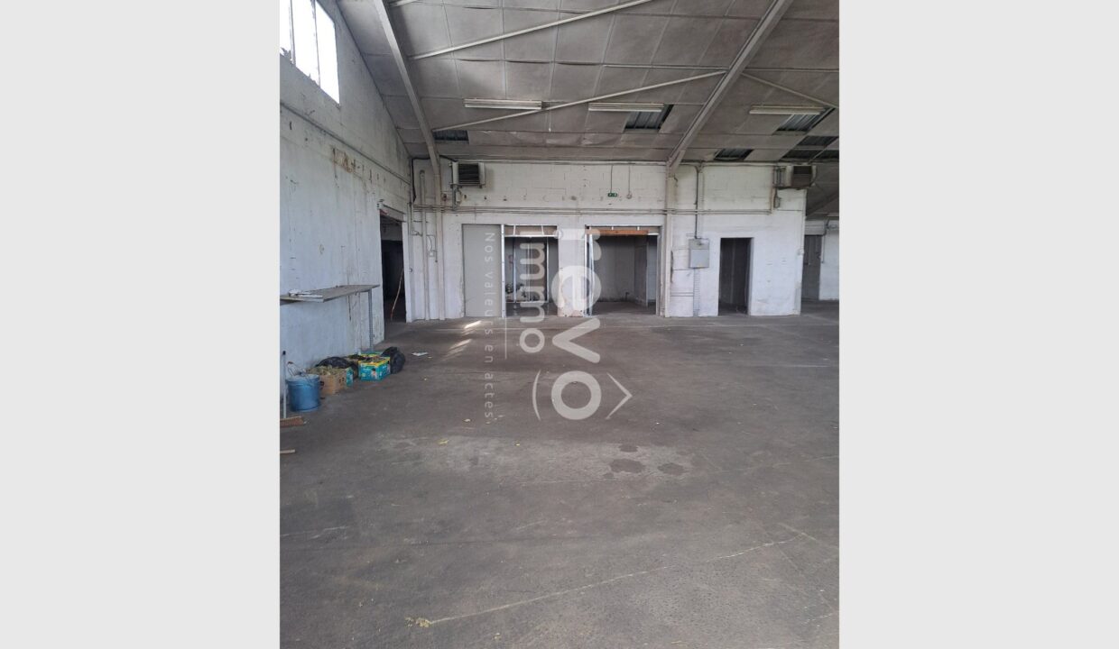 cedp-2769463-2