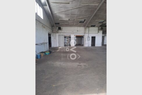 cedp-2769463-2