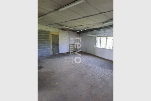 cedp-2769463-3