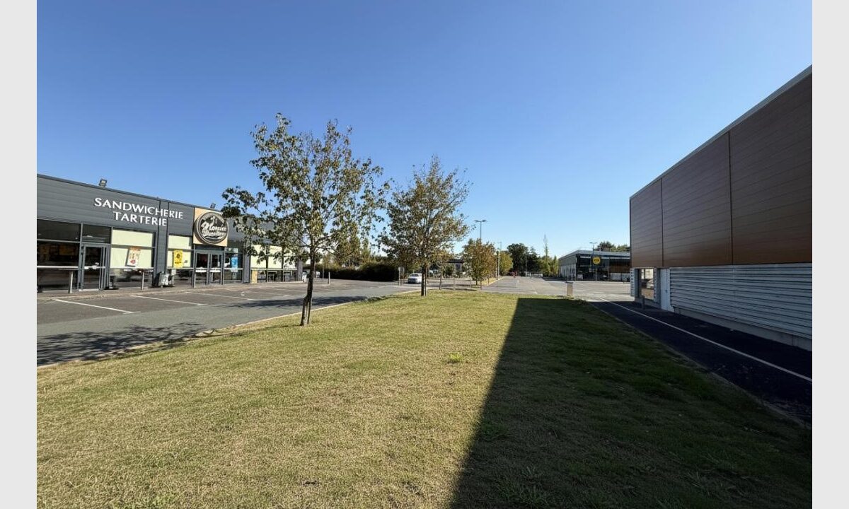 cedp-2769468-9