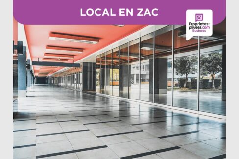 cedp-2769481-12