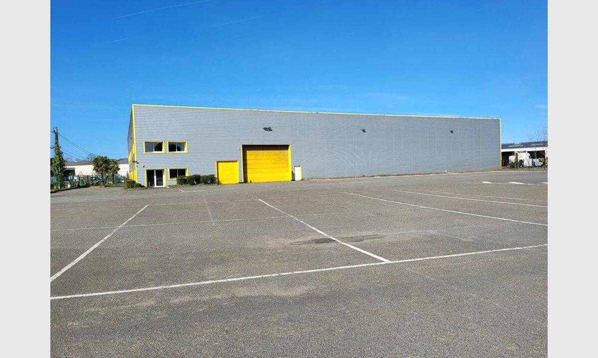 cedp-2769502-3